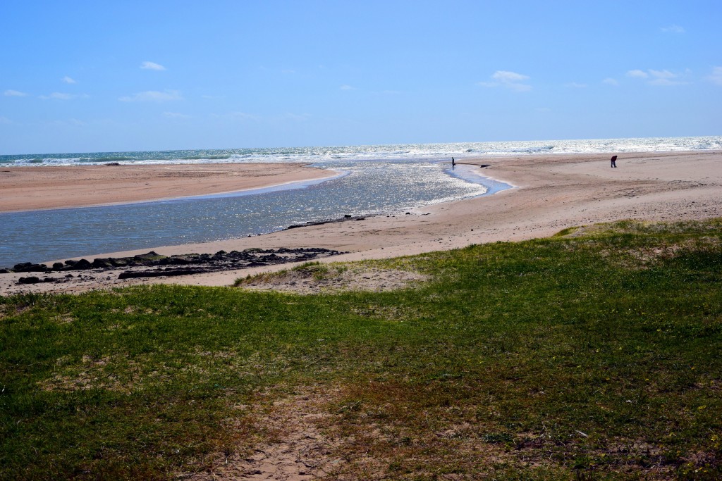 Foto de Conil de la Frontera (Cádiz), España