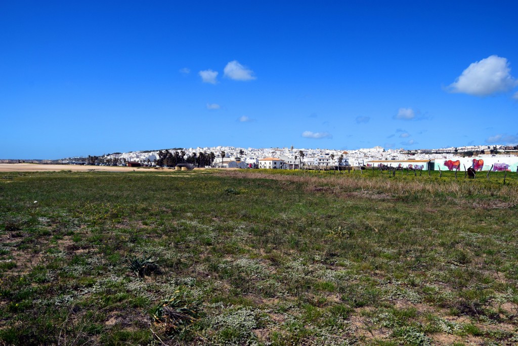 Foto de Conil de la Frontera (Cádiz), España