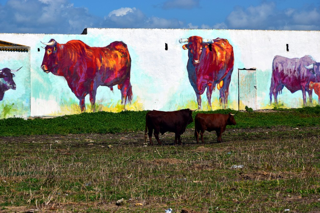 Foto de Conil de la Frontera (Cádiz), España