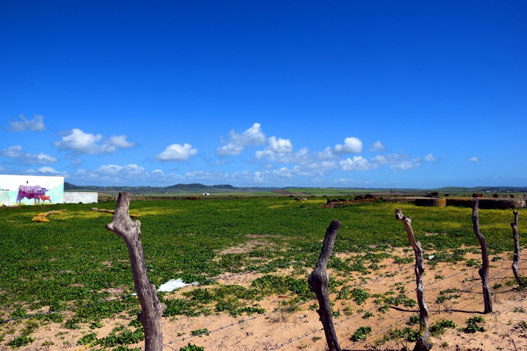 Foto de Conil de la Frontera (Cádiz), España