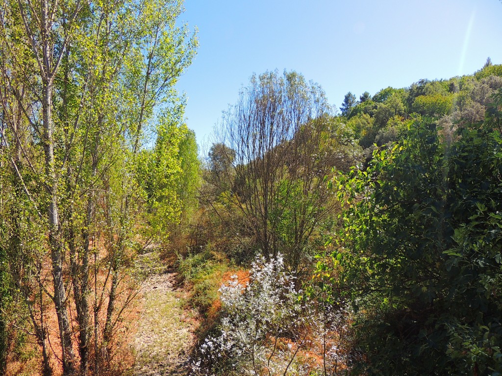 Foto de Guadalupe (Cáceres), España