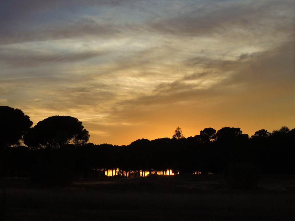 Foto de Hinojos (Huelva), España