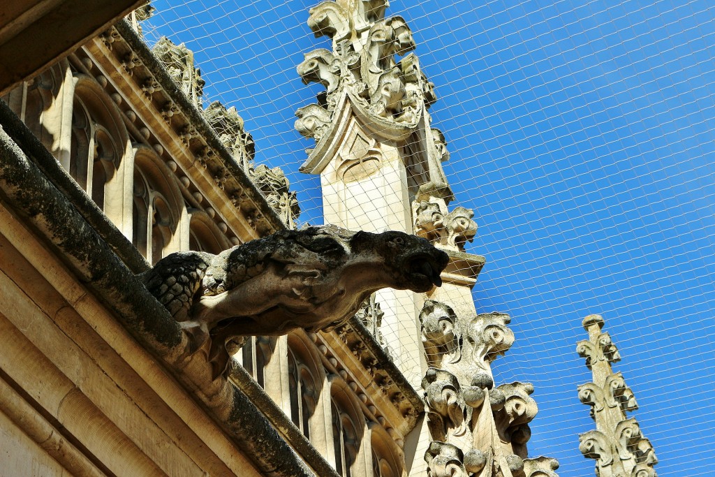 Foto: San Juan de los Reyes - Toledo (Castilla La Mancha), España