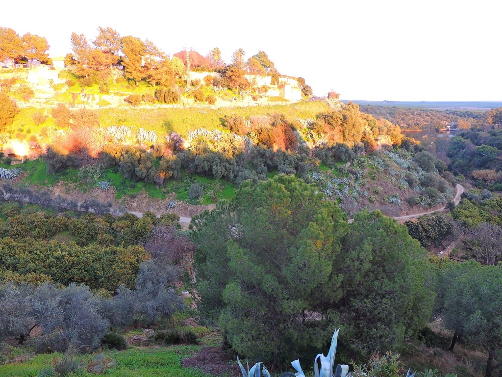 Foto de Hornachuelos (Córdoba), España