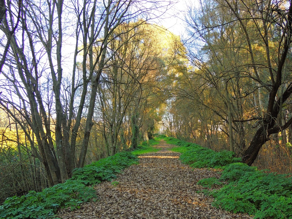 Foto de Hornachuelos (Córdoba), España