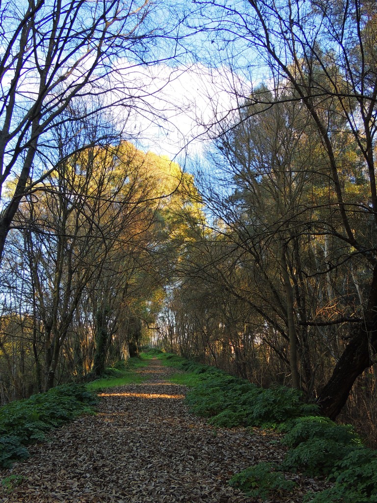 Foto de Hornachuelos (Córdoba), España