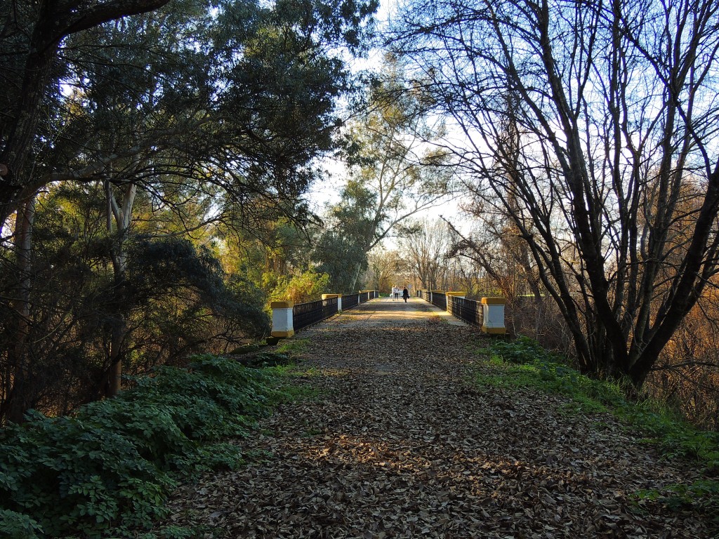 Foto de Hornachuelos (Córdoba), España