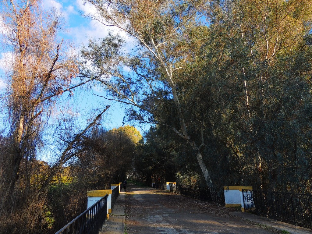 Foto de Hornachuelos (Córdoba), España