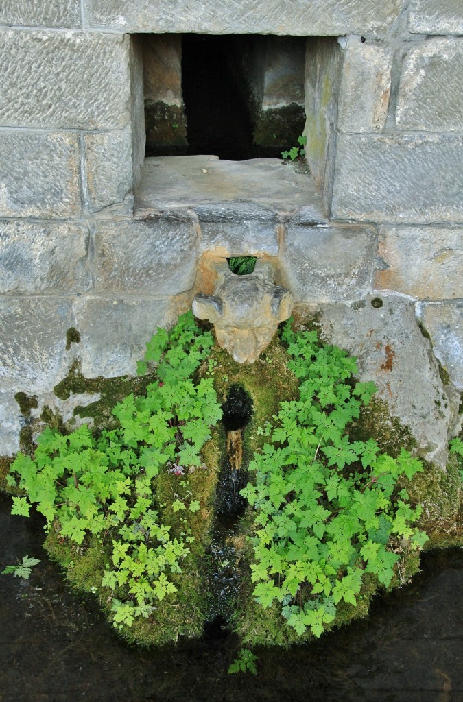 Foto: San Juan de la Peña - Botaya (Huesca), España