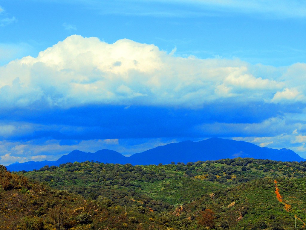 Foto de Castillo de Castellar (Cádiz), España