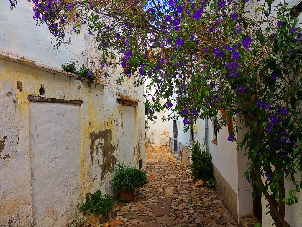 Foto de Castillo de Castellar (Cádiz), España