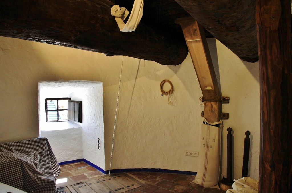 Foto: Molino - Consuegra (Toledo), España