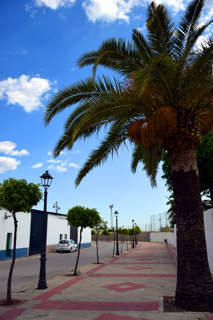 Foto de Marismillas (Sevilla), España