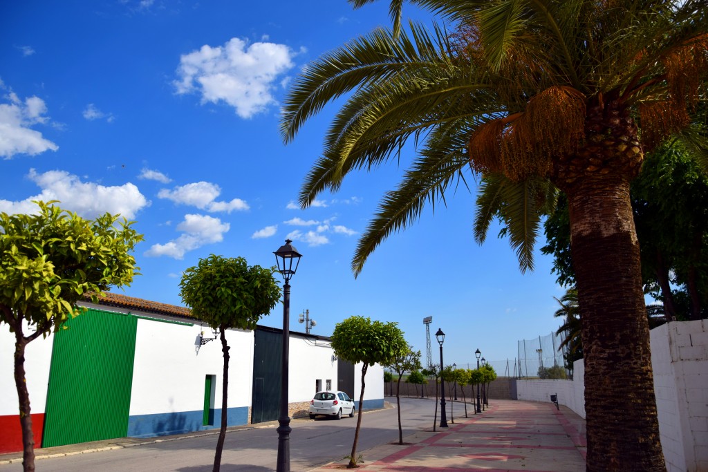 Foto de Marismillas (Sevilla), España