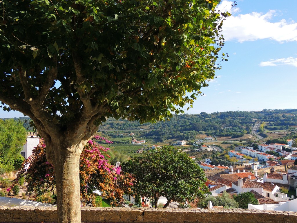 Foto de Obidos (Lisbon), Portugal