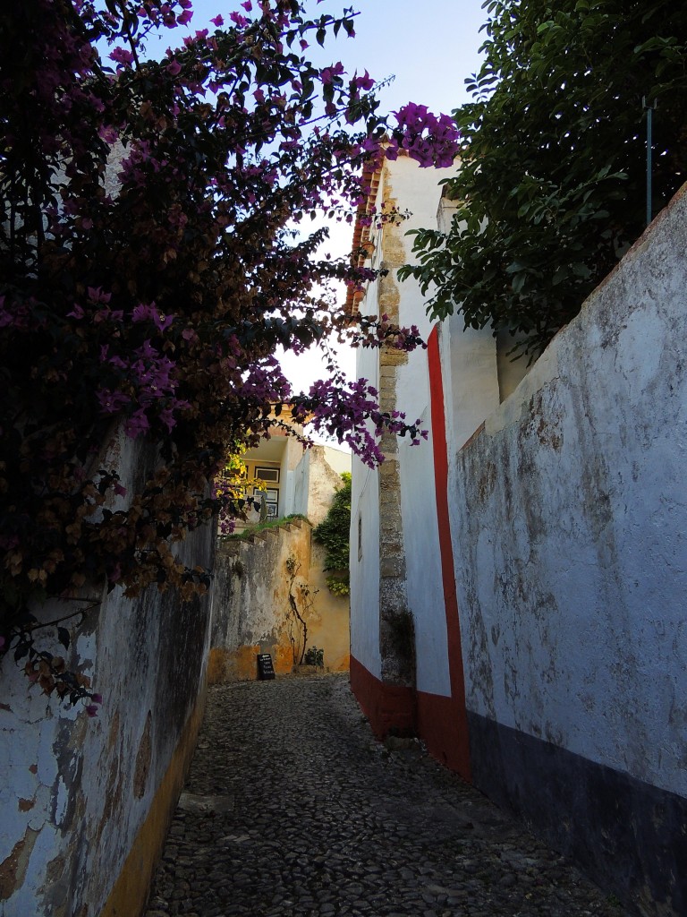 Foto de Obidos (Lisbon), Portugal