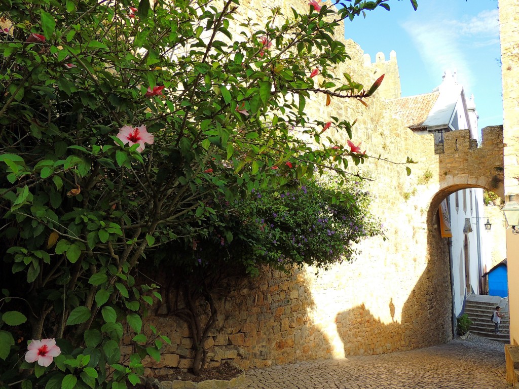 Foto de Obidos (Lisbon), Portugal