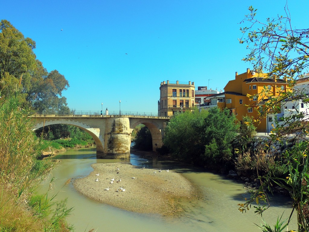 Foto de Puente Genil (Córdoba), España