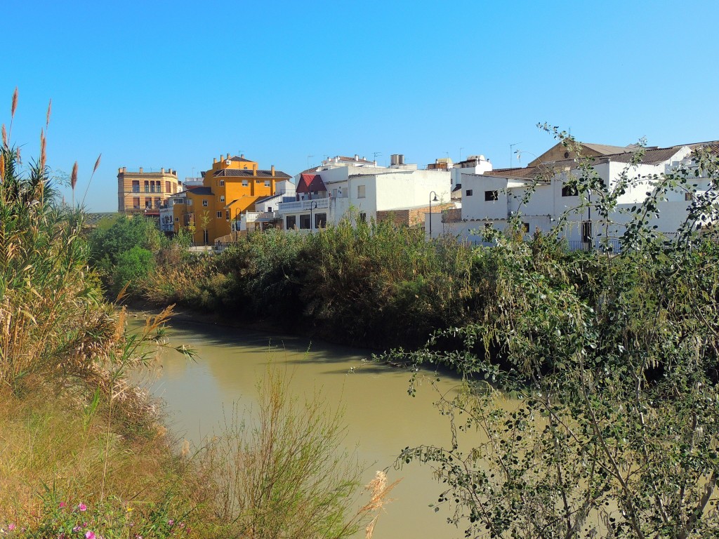 Foto de Puente Genil (Córdoba), España