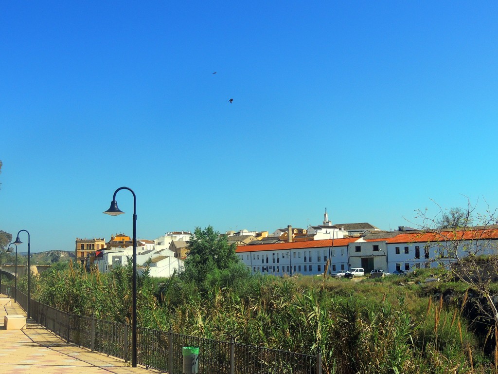 Foto de Puente Genil (Córdoba), España