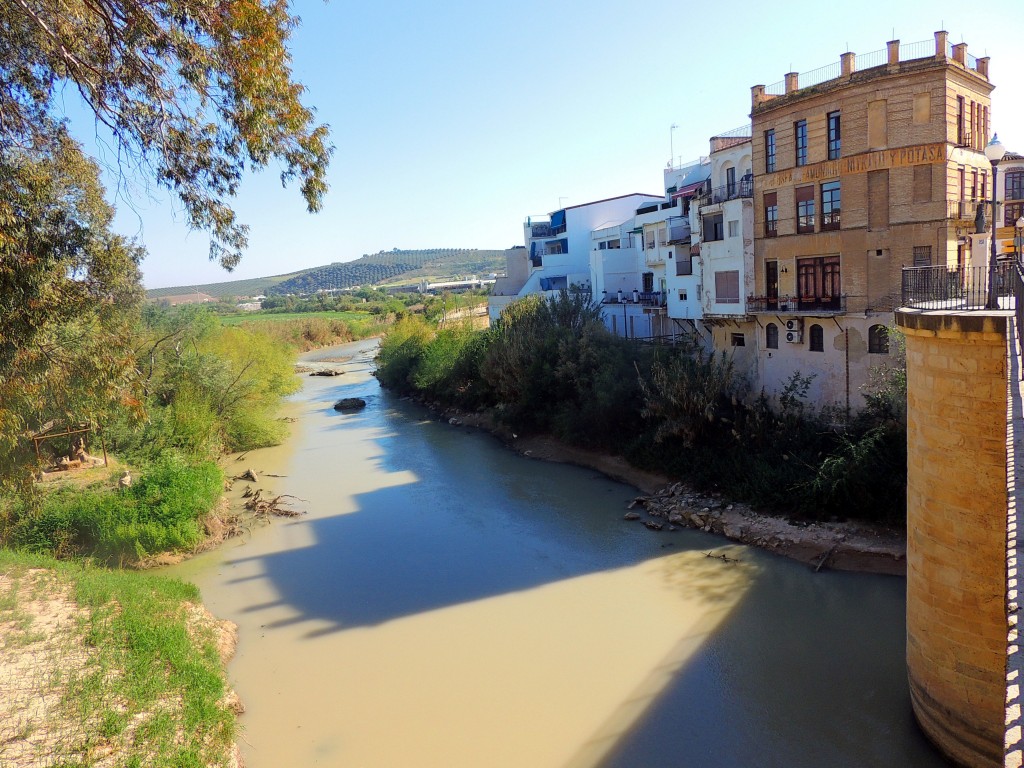 Foto de Puente Genil (Córdoba), España