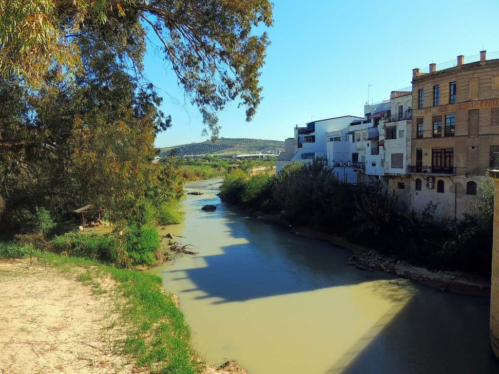 Foto de Puente Genil (Córdoba), España