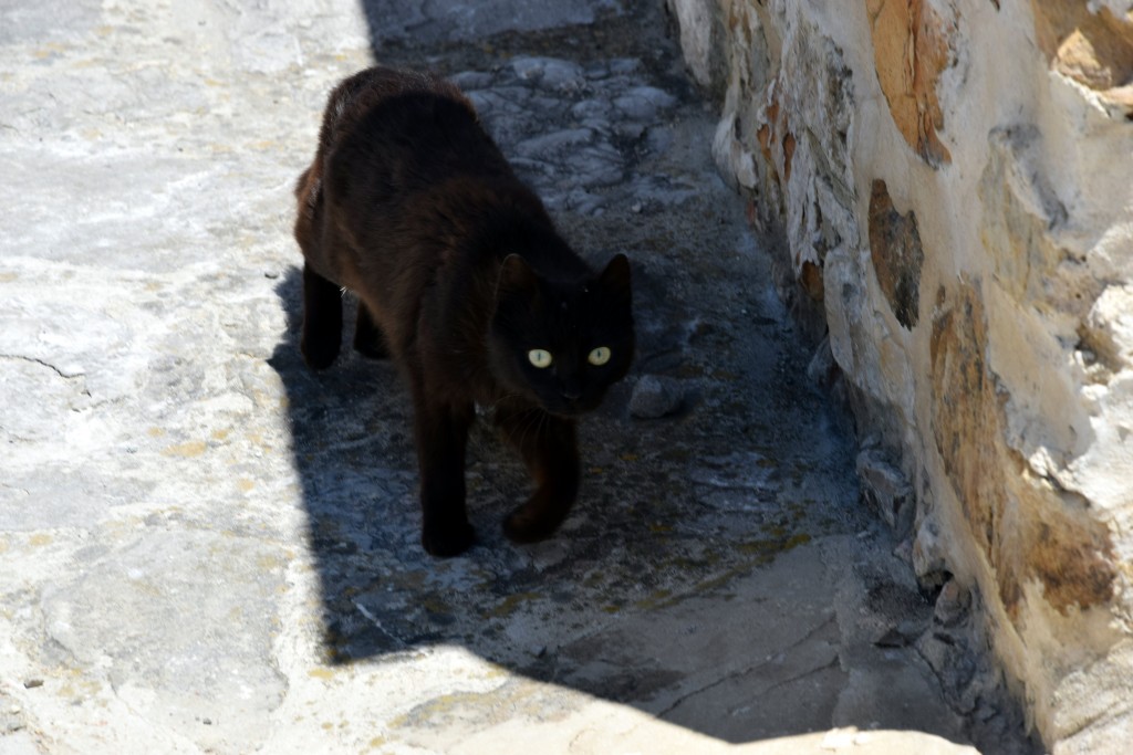 Foto de Facinas (Cádiz), España