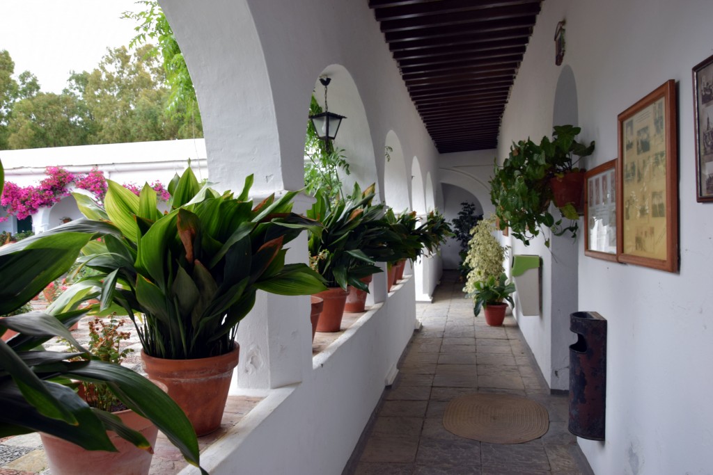 Foto de Facinas (Cádiz), España