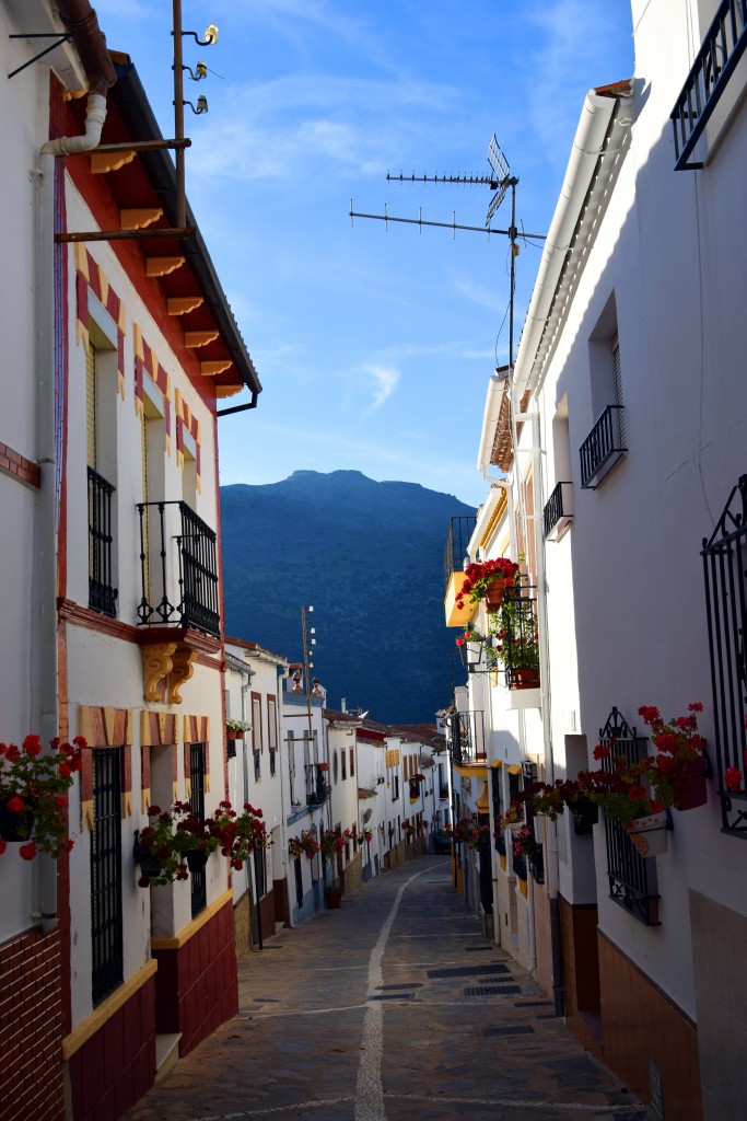 Foto de Jemera de Libar (Málaga), España