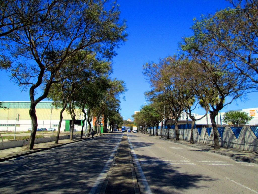 Foto: Avenida Ronda de Vigilancia - Cádiz (Andalucía), España