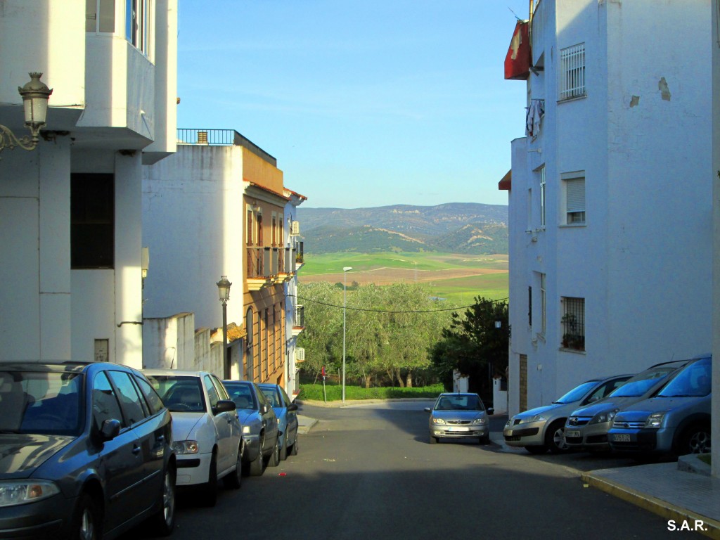 Foto: Calle Álamos - Benalup (Cádiz), España