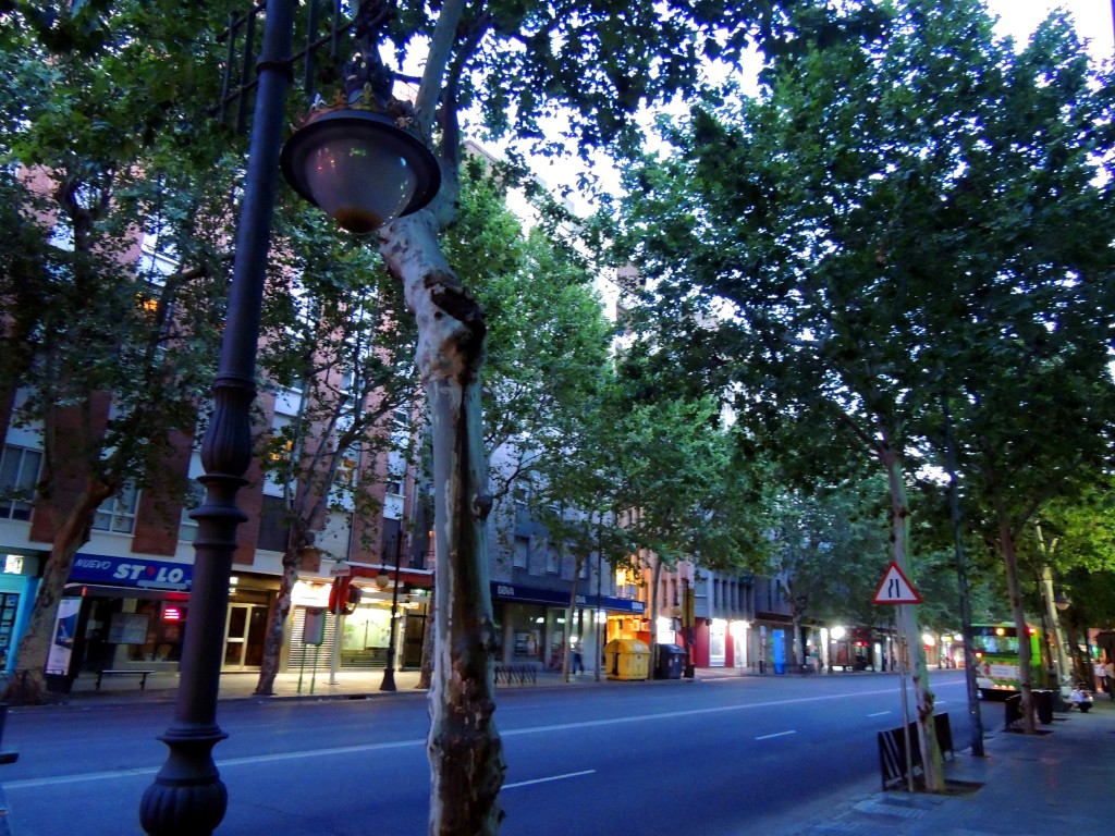 Foto: Avenida Ronda de los Tejares - Córdoba (Andalucía), España