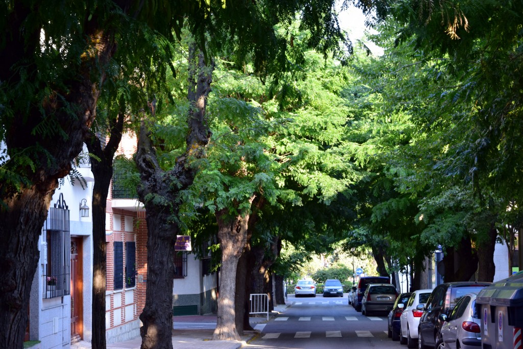 Foto de Brunete (Madrid), España