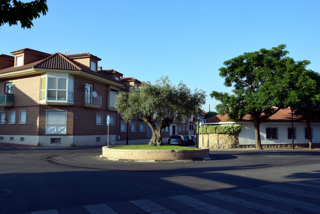 Foto de Brunete (Madrid), España