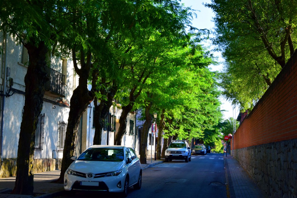 Foto de Brunete (Madrid), España