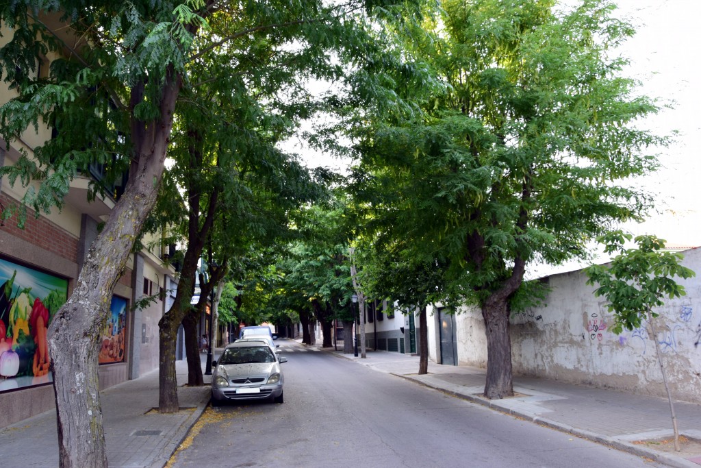 Foto de Brunete (Madrid), España