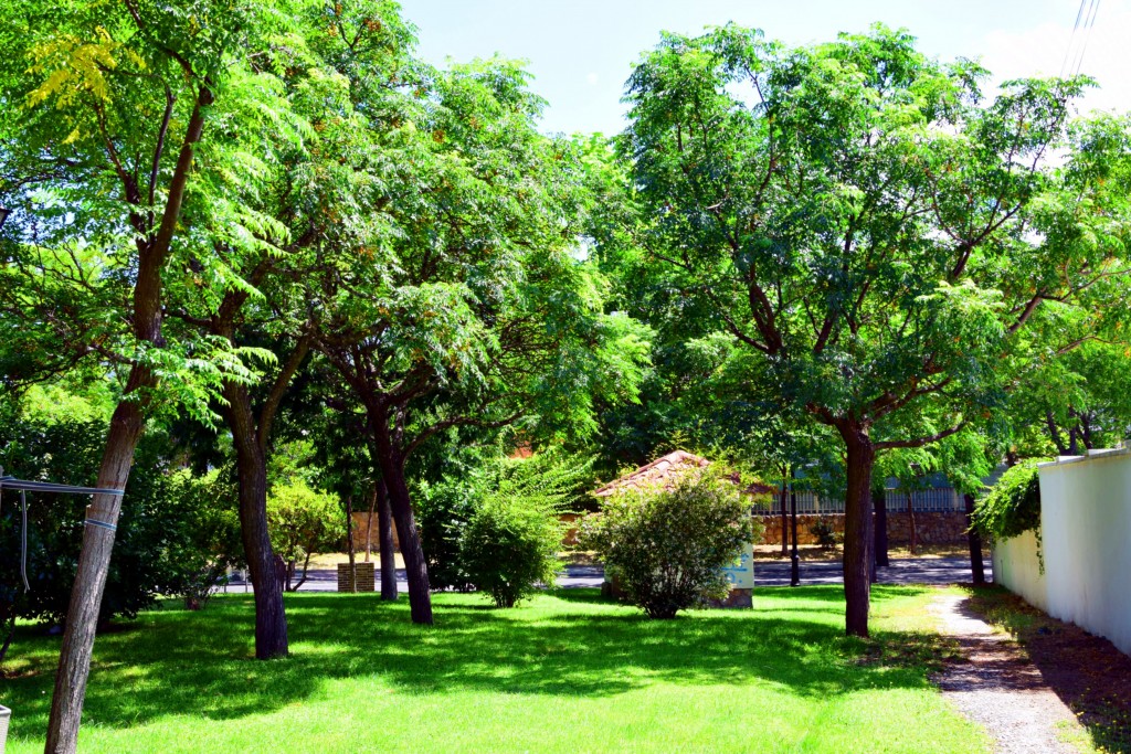 Foto de Brunete (Madrid), España