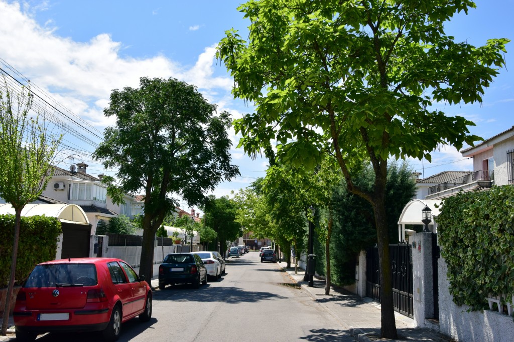 Foto de Brunete (Madrid), España