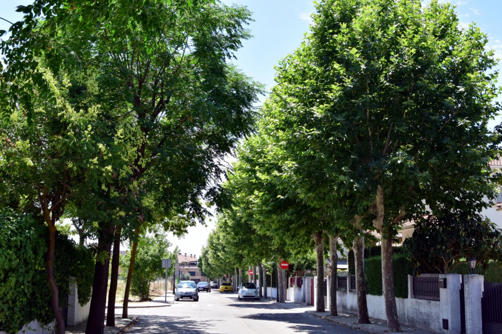 Foto de Brunete (Madrid), España