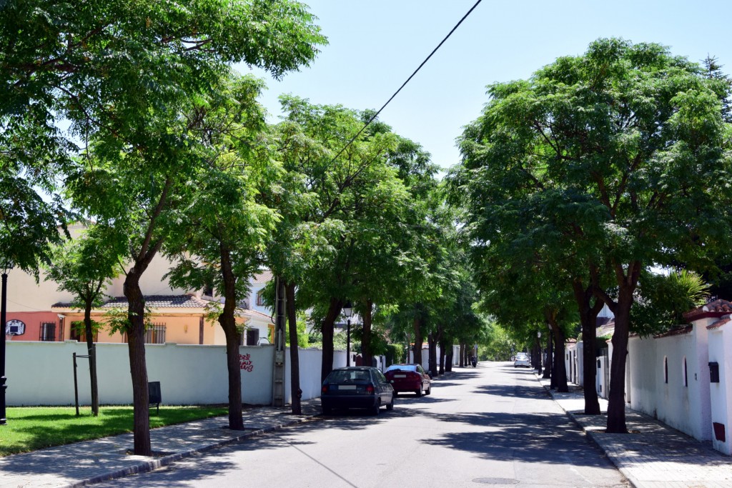 Foto de Brunete (Madrid), España