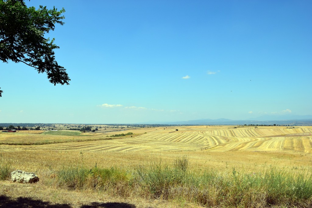 Foto de Brunete (Madrid), España