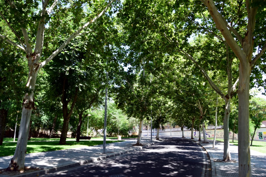 Foto de Córdoba (Andalucía), España