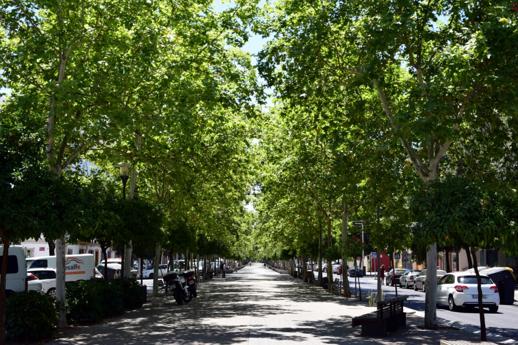 Foto de Córdoba (Andalucía), España