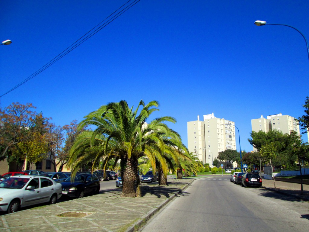 Foto: Avdª Ponce de León - San Fernando (Cádiz) (Cádiz), España