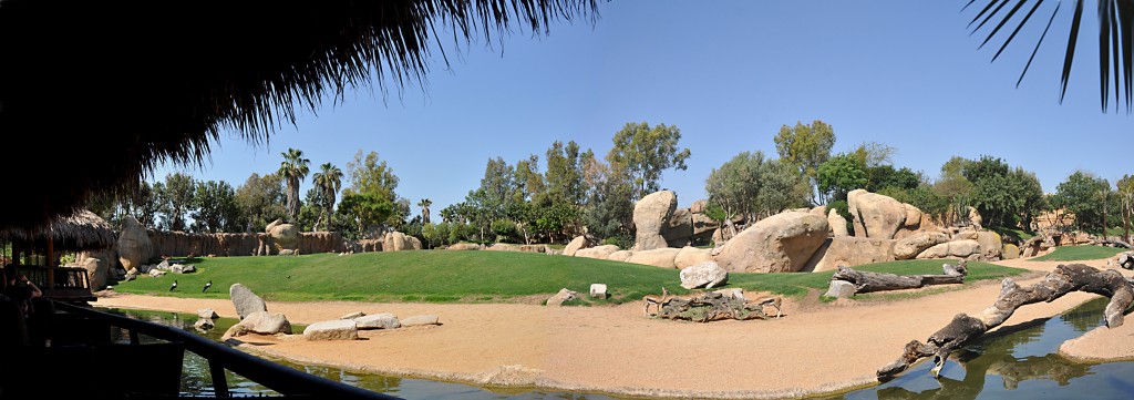 Foto: Bioparc - Valencia (València), España