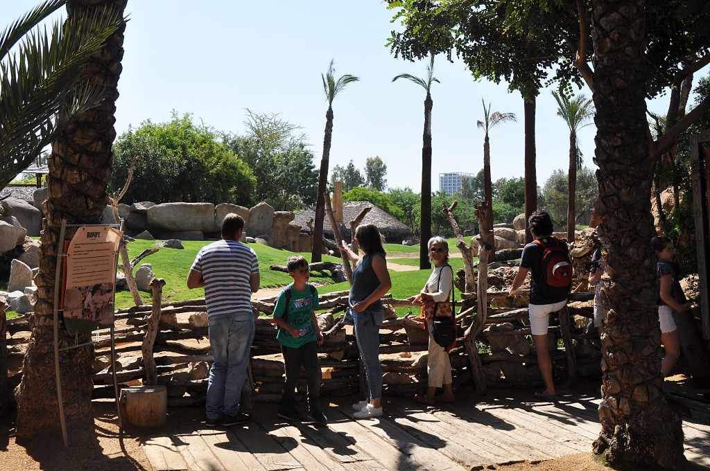 Foto: Bioparc - Valencia (València), España