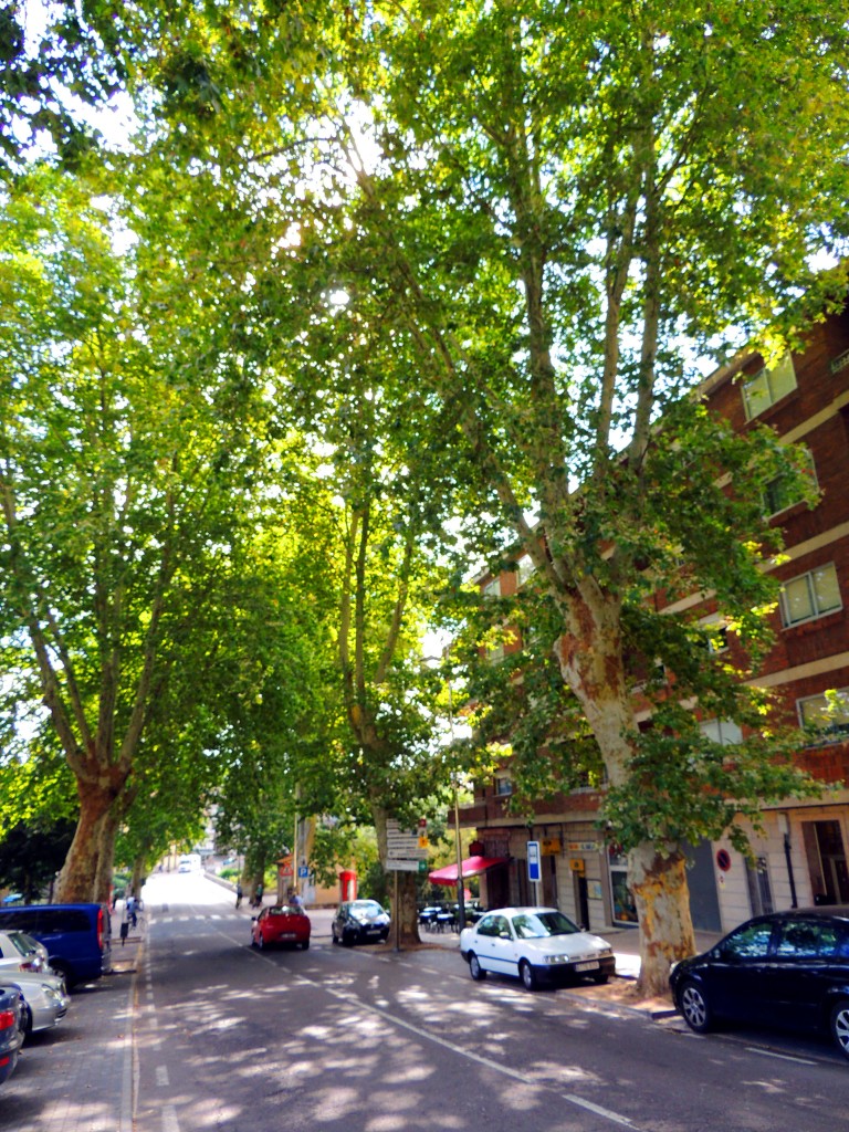 Foto de Allariz (Ourense), España