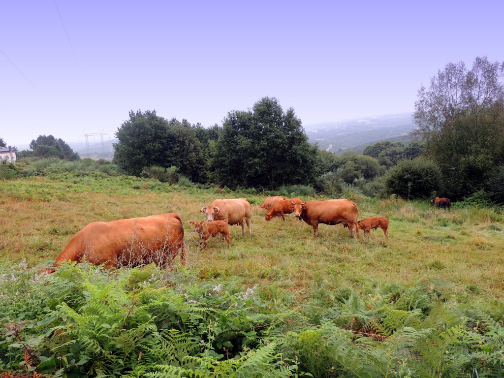 Foto de Castro Caldelas (Ourense), España