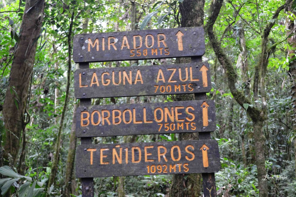 Foto de Rio Celeste (Alajuela), Costa Rica