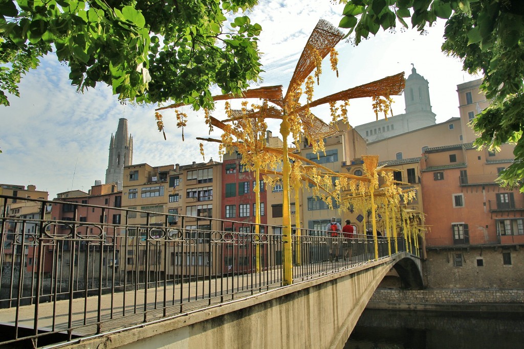 Foto: Girona en flor 2018 - Girona (Cataluña), España